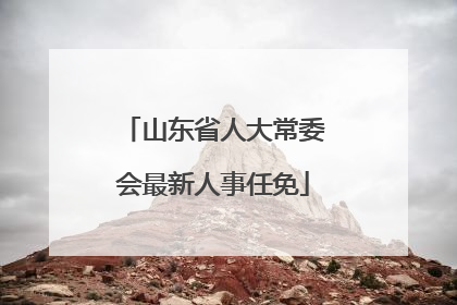 山东省人大常委会最新人事任免