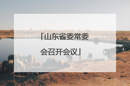 山东省委常委会召开会议