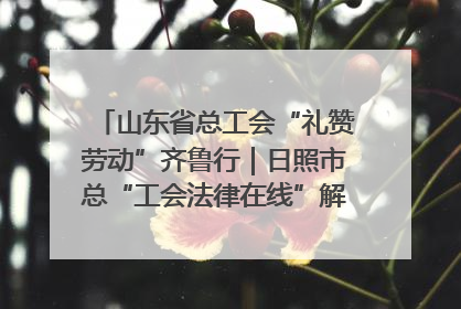 山东省总工会“礼赞劳动”齐鲁行｜日照市总“工会法律在线”解决职工愁“薪”事