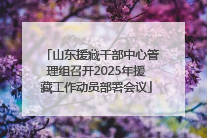 山东援藏干部中心管理组召开2025年援藏工作动员部署会议