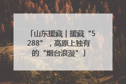 山东援藏｜援藏“5288”，高原上独有的“烟台浪漫”