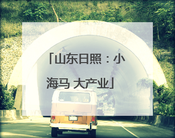山东日照：小海马 大产业