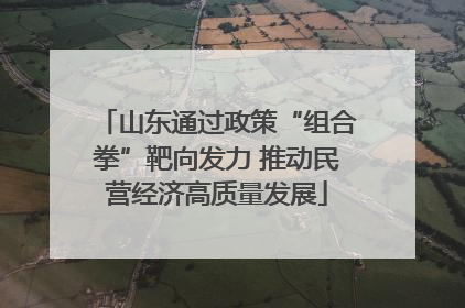 山东通过政策“组合拳”靶向发力 推动民营经济高质量发展