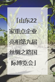 山东22家重点企业亮相第九届丝绸之路国际博览会