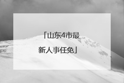 山东4市最新人事任免