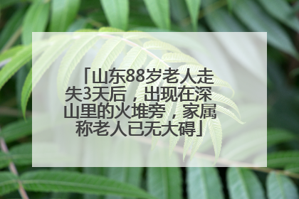 山东88岁老人走失3天后，出现在深山里的火堆旁，家属称老人已无大碍