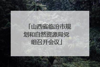 山西省临汾市规划和自然资源局党组召开会议