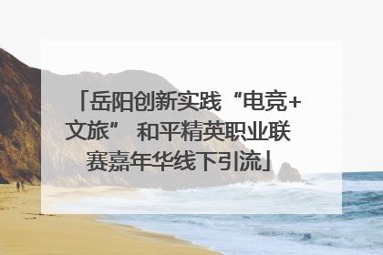 岳阳创新实践“电竞+文旅” 和平精英职业联赛嘉年华线下引流