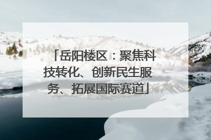 岳阳楼区：聚焦科技转化、创新民生服务、拓展国际赛道