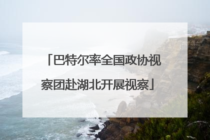 巴特尔率全国政协视察团赴湖北开展视察