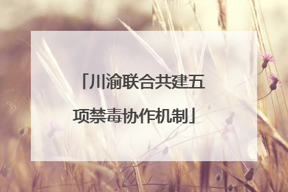 川渝联合共建五项禁毒协作机制
