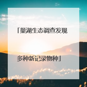 巢湖生态调查发现多种新记录物种