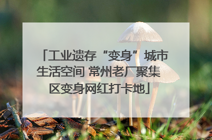 工业遗存“变身”城市生活空间 常州老厂聚集区变身网红打卡地