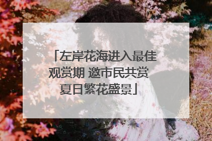 左岸花海进入最佳观赏期 邀市民共赏夏日繁花盛景