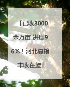 已收3000余万亩 进度96%！河北夏粮丰收在望