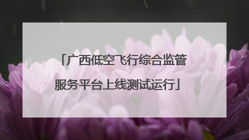 广西低空飞行综合监管服务平台上线测试运行