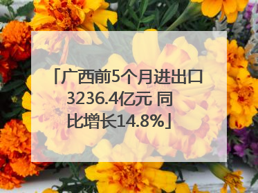 广西前5个月进出口3236.4亿元 同比增长14.8%