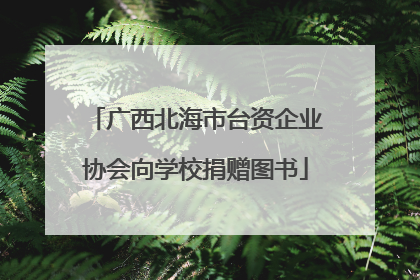 广西北海市台资企业协会向学校捐赠图书