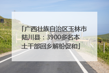 广西壮族自治区玉林市陆川县：3900多名本土干部回乡解纷促和