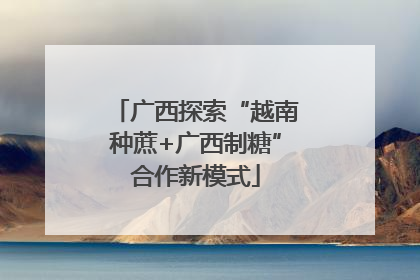 广西探索“越南种蔗+广西制糖”合作新模式