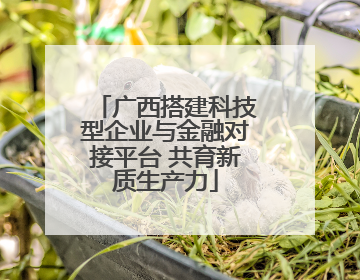 广西搭建科技型企业与金融对接平台 共育新质生产力
