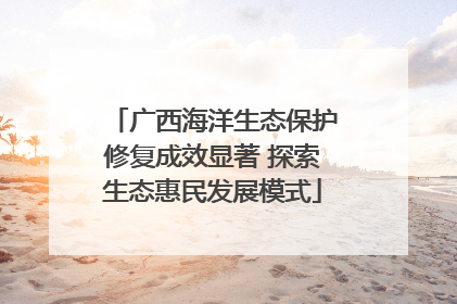 广西海洋生态保护修复成效显著 探索生态惠民发展模式