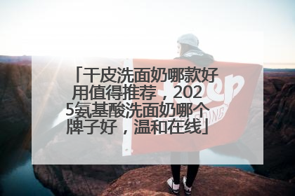 干皮洗面奶哪款好用值得推荐，2025氨基酸洗面奶哪个牌子好，温和在线