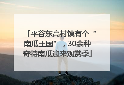 平谷东高村镇有个“南瓜王国”，30余种奇特南瓜迎来观赏季