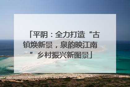 平阴：全力打造“古镇焕新景，泉韵映江南”乡村振兴新图景