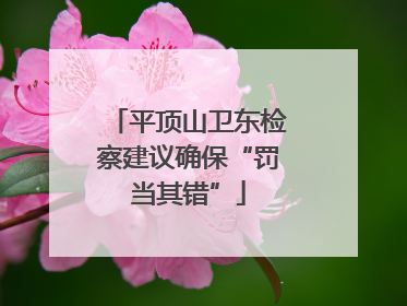 平顶山卫东检察建议确保“罚当其错”