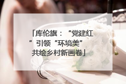 库伦旗：“党建红”引领“环境美” 共绘乡村新画卷