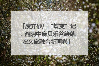废弃砂厂“蝶变”记：湘阴中麻贝乐谷绘就农文旅融合新画卷