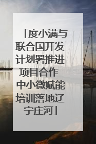 度小满与联合国开发计划署推进项目合作 中小微赋能培训落地辽宁庄河