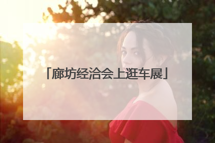 廊坊经洽会上逛车展