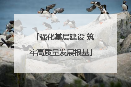 强化基层建设 筑牢高质量发展根基