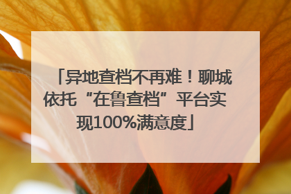 异地查档不再难！聊城依托“在鲁查档”平台实现100%满意度