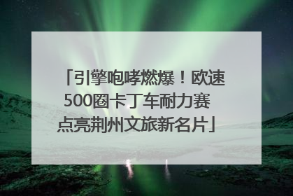 引擎咆哮燃爆！欧速500圈卡丁车耐力赛点亮荆州文旅新名片