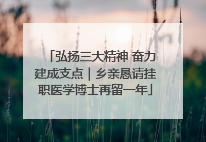 弘扬三大精神 奋力建成支点｜乡亲恳请挂职医学博士再留一年