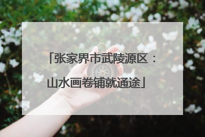 张家界市武陵源区：山水画卷铺就通途