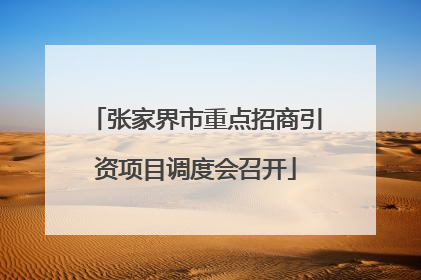 张家界市重点招商引资项目调度会召开