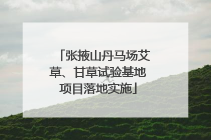张掖山丹马场艾草、甘草试验基地项目落地实施