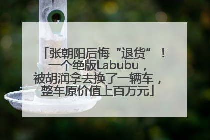 张朝阳后悔“退货”！一个绝版Labubu，被胡润拿去换了一辆车，整车原价值上百万元