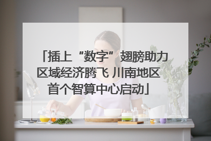 插上“数字”翅膀助力区域经济腾飞 川南地区首个智算中心启动