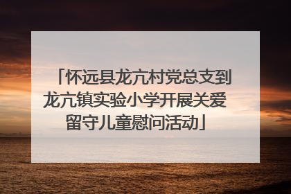 怀远县龙亢村党总支到龙亢镇实验小学开展关爱留守儿童慰问活动