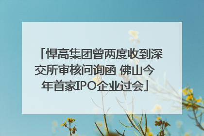 悍高集团曾两度收到深交所审核问询函 佛山今年首家IPO企业过会