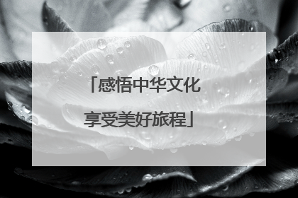 感悟中华文化 享受美好旅程