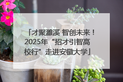 才聚濉溪 智创未来！2025年“招才引智高校行”走进安徽大学