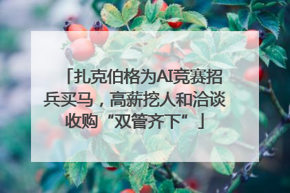 扎克伯格为AI竞赛招兵买马，高薪挖人和洽谈收购“双管齐下”