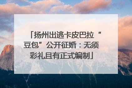 扬州出逃卡皮巴拉“豆包”公开征婚：无须彩礼且有正式编制