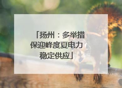 扬州：多举措保迎峰度夏电力稳定供应